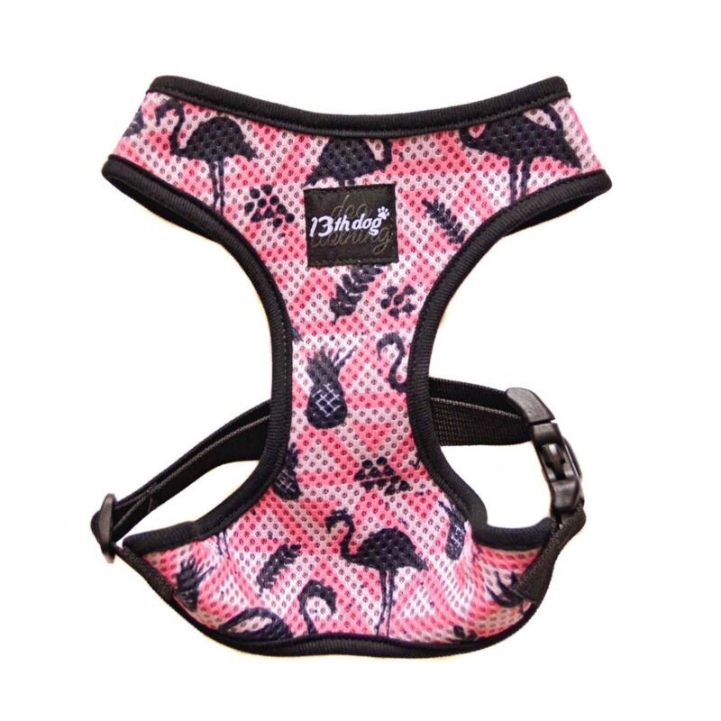 13th Dog Soft am Flamingo S