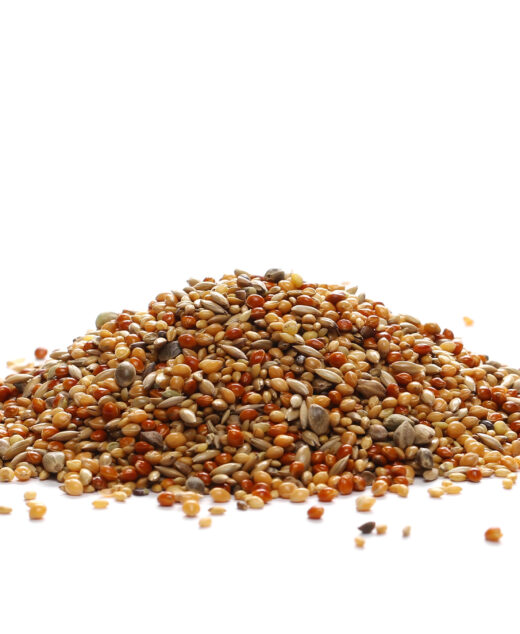 Mešavina semenja i drugih hraniva