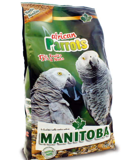 MN 2kg African Parrots