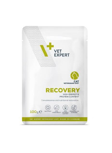 VetExpert Cat diet recovery 100g pouch