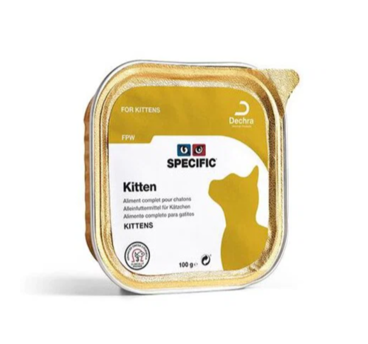 DECHRA Cat Kitten 100g